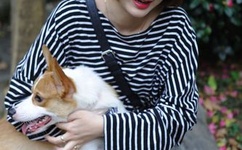 日本国产一区在线观看